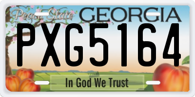 GA license plate PXG5164