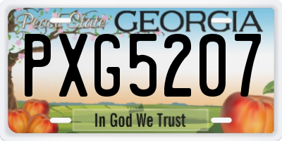 GA license plate PXG5207