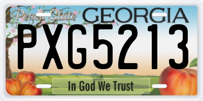 GA license plate PXG5213
