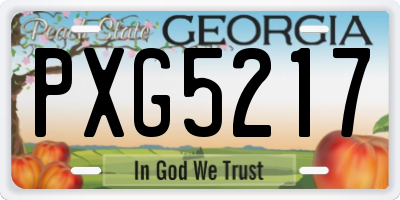 GA license plate PXG5217