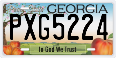 GA license plate PXG5224