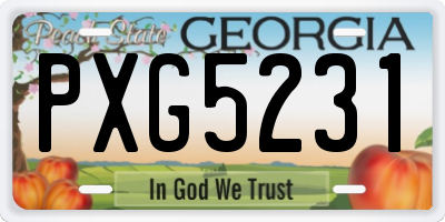 GA license plate PXG5231