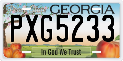 GA license plate PXG5233