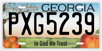 GA license plate PXG5239