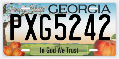 GA license plate PXG5242