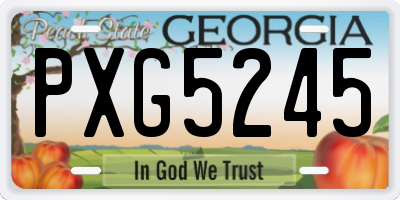 GA license plate PXG5245