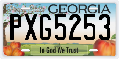 GA license plate PXG5253