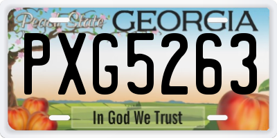 GA license plate PXG5263