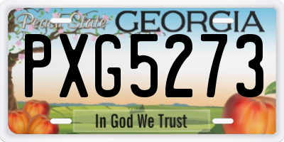 GA license plate PXG5273