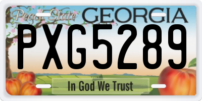 GA license plate PXG5289