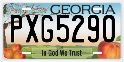 GA license plate PXG5290