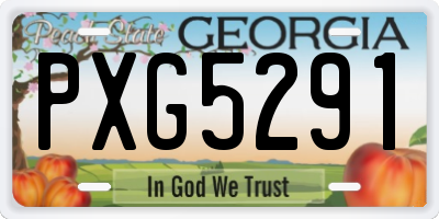 GA license plate PXG5291