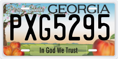 GA license plate PXG5295