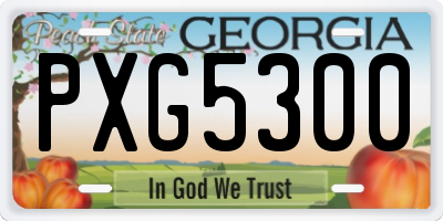 GA license plate PXG5300