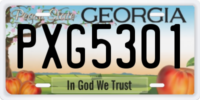 GA license plate PXG5301