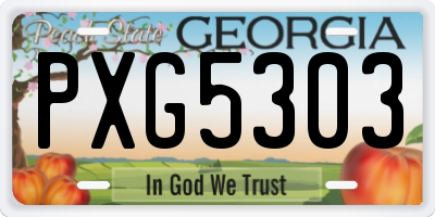 GA license plate PXG5303