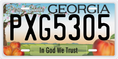 GA license plate PXG5305