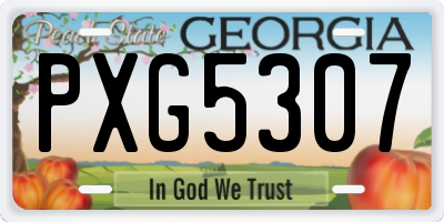 GA license plate PXG5307