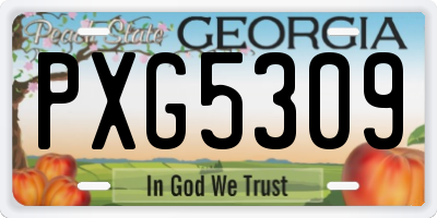 GA license plate PXG5309
