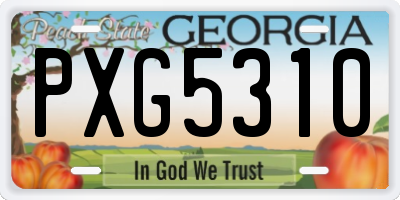 GA license plate PXG5310