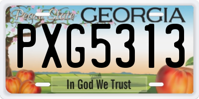 GA license plate PXG5313