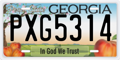 GA license plate PXG5314