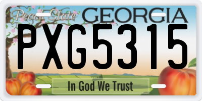 GA license plate PXG5315
