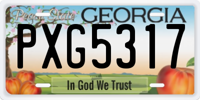 GA license plate PXG5317