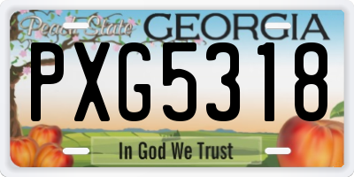 GA license plate PXG5318
