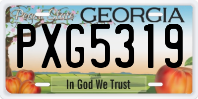 GA license plate PXG5319