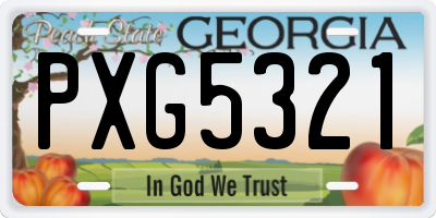 GA license plate PXG5321