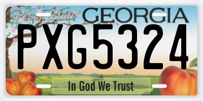 GA license plate PXG5324