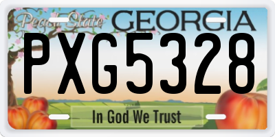GA license plate PXG5328