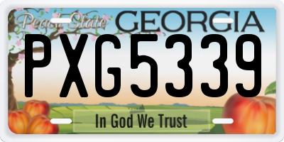 GA license plate PXG5339