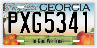 GA license plate PXG5341