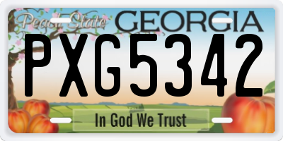 GA license plate PXG5342