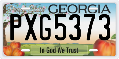 GA license plate PXG5373