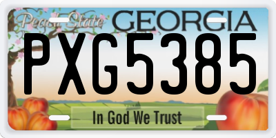 GA license plate PXG5385