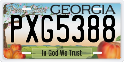 GA license plate PXG5388