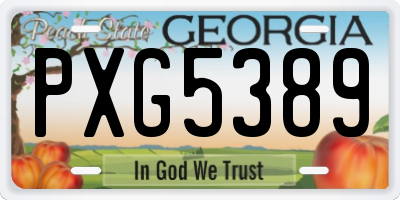 GA license plate PXG5389
