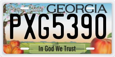 GA license plate PXG5390