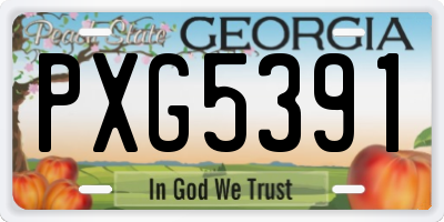 GA license plate PXG5391