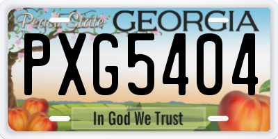 GA license plate PXG5404