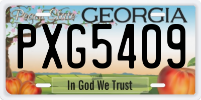 GA license plate PXG5409