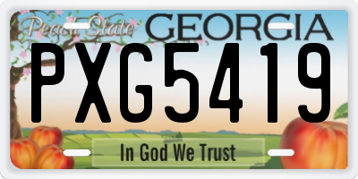 GA license plate PXG5419