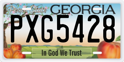 GA license plate PXG5428