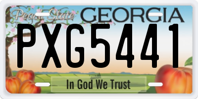 GA license plate PXG5441