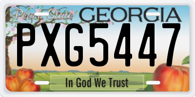 GA license plate PXG5447