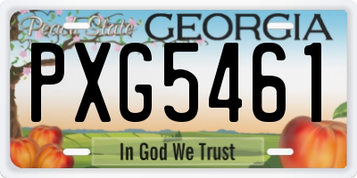 GA license plate PXG5461