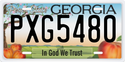 GA license plate PXG5480